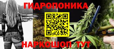 apvp Ирбит