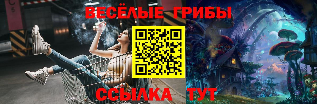 Избербаш  Галлюциногенные грибы ЛСД  где купить наркоту  Вход с VPN 